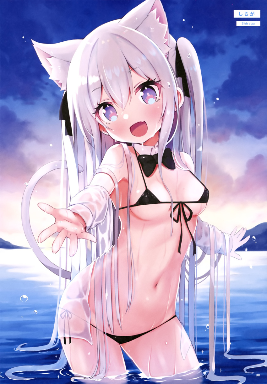 animal_ears bikini nekomimi see_through shiraga swimsuits tail wet wet_clothes