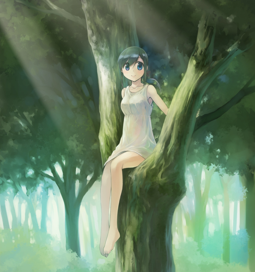 1girl bangs barefoot black_hair blue_eyes closed_mouth commentary day dress highres ikeda_jun_(mizutamari) in_tree looking_at_viewer low_ponytail medium_hair original outdoors redrawn short_dress sitting sitting_in_tree sleeveless sleeveless_dress smile solo sunlight tree