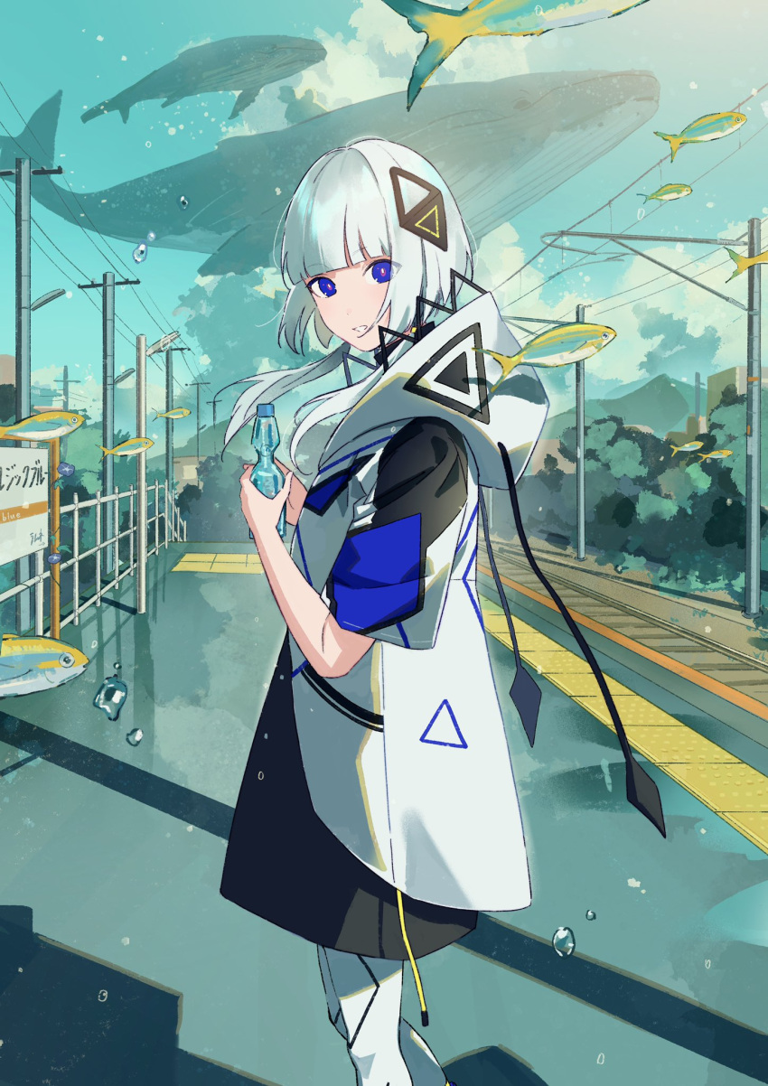 1girl bangs blue_eyes blue_sky blunt_bangs bottle cevio cloud cloudy_sky feet_out_of_frame fish highres holding holding_bottle hood hood_down kafu_(cevio) looking_at_viewer mountain parted_lips power_lines sako_(35s_00) shadow short_hair_with_long_locks sky solo surreal whale