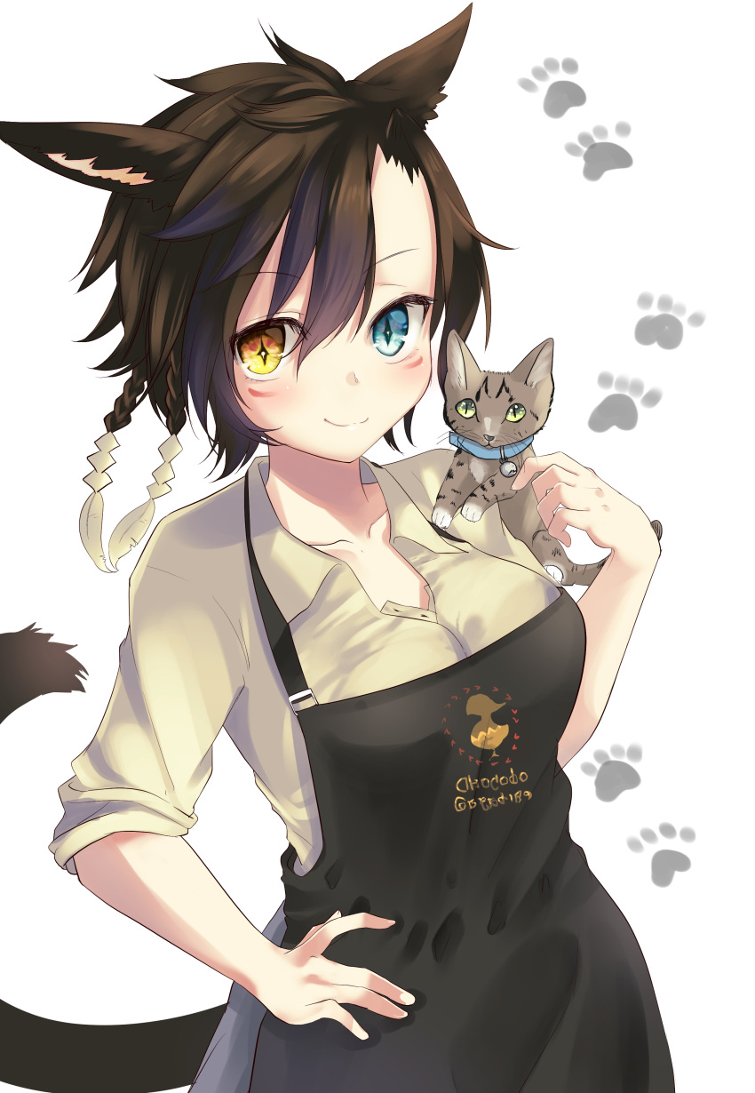 1girl \||/ absurdres akahaneko animal animal_ears april_fools apron aqua_eyes black_apron braid breasts brown_hair cat cat_ears cat_tail chocobo cleavage collar collared_shirt eyebrows_visible_through_hair facial_mark feather_hair_ornament feathers final_fantasy final_fantasy_xiv forehead green_eyes hair_between_eyes hair_ornament hand_on_hip highres holding holding_animal holding_cat kitten miqo'te multicolored multicolored_eyes paw_print red_eyes shirt short_hair simple_background sleeves_rolled_up smile solo tail upper_body whisker_markings white_background yellow_eyes