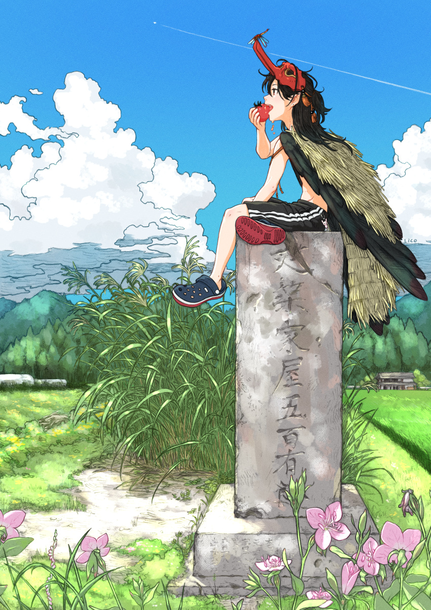 absurdres artist_name black_hair black_shorts black_wings blue_sky bug cloud commentary crocs day dragonfly eating feathered_wings flower grass highres house huge_filesize lico_(sasya_k) mask mask_removed midriff original outdoors plant rural shoes shorts sitting sky sneakers summer tengu_mask tombstone wings