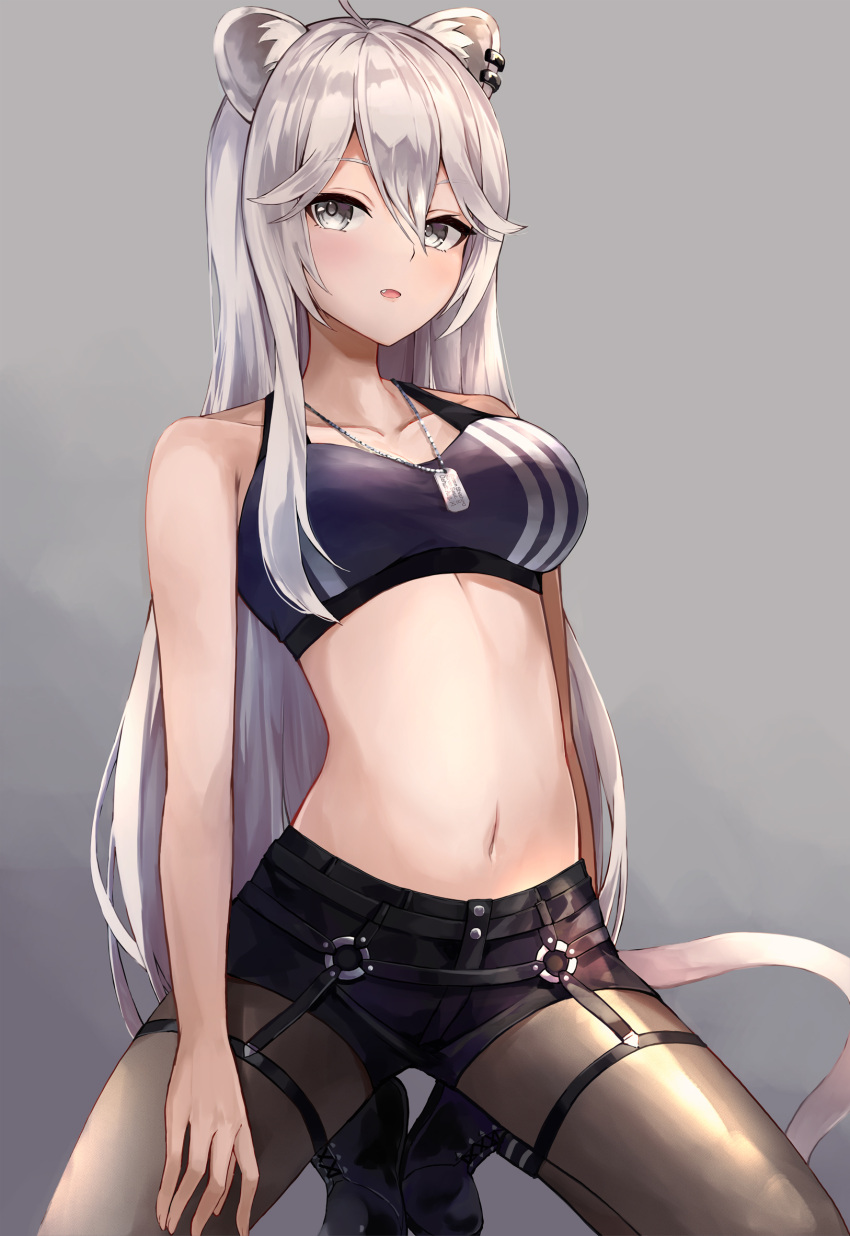 1girl animal_ear_fluff animal_ears bangs black_footwear black_shorts black_sports_bra breasts dog_tags earrings fang grey_background grey_eyes hair_between_eyes highres hololive jewelry kneeling konkito large_breasts lion_ears lion_girl lion_tail looking_at_viewer midriff navel official_alternate_costume open_mouth pantyhose shishiro_botan shoes short_shorts shorts silver_hair simple_background solo sports_bra tail thigh_strap virtual_youtuber