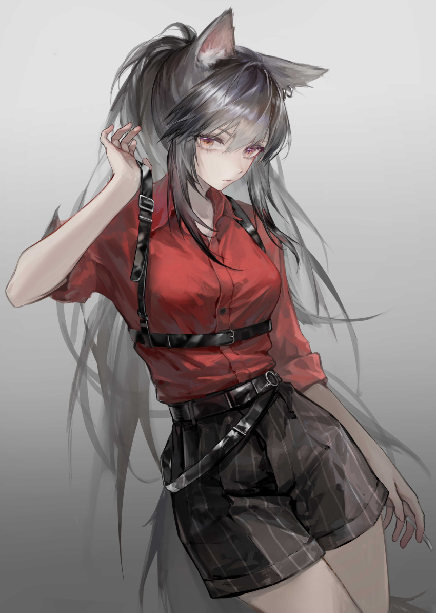 1girl absurdres animal_ears arknights belt black_belt black_hair black_shorts cigarette collared_shirt cowboy_shot dress_shirt gradient gradient_background grey_background hair_between_eyes highres holding holding_cigarette long_hair looking_at_viewer no_jacket official_alternate_costume ponytail qiangjitong red_eyes red_shirt shirt shorts simple_background solo striped tail texas_(arknights) texas_(willpower)_(arknights) vertical-striped_shorts vertical_stripes very_long_hair wolf_ears wolf_tail