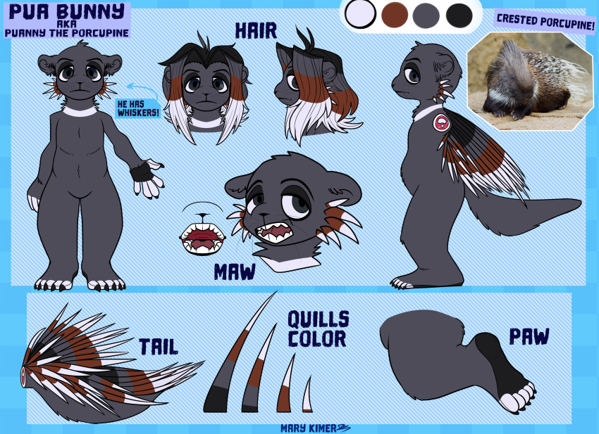 anthro english_text fan_character full-length_portrait hair headshot hi_res invalid_tag loose_feather mammal marykimer model_sheet open_mouth paws photo porcupine portrait quill rodent text whiskers