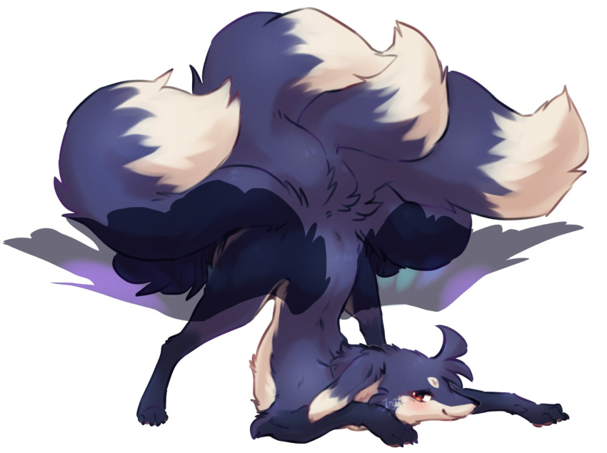 5_tails ass_up black_body black_fur canid canine claws digitigrade dipstick_ears dipstick_tail feathered_wings feathers female feral finger_claws fox fur grey_body grey_fur head_tuft hi_res ingi ingi_(character) jack-o'_pose kemono leg_markings looking_at_viewer mammal markings multi_tail multicolored_body multicolored_ears multicolored_fur multicolored_tail pose quadruped red_eyes shaded signature simple_background socks_(marking) solo toe_claws translucent translucent_wings tuft white_background white_body white_fur wings