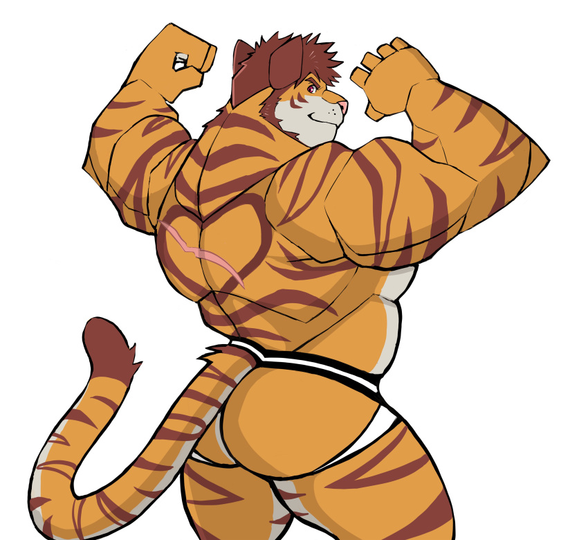 absurd_res anthro brown_hair butt clothed clothing darknaigart felid flexing fukai_kasai fur hair hi_res jockstrap male mammal muscular muscular_anthro muscular_male orange_body orange_fur pantherine simple_background solo striped_body striped_fur stripes tiger topless underwear white_background