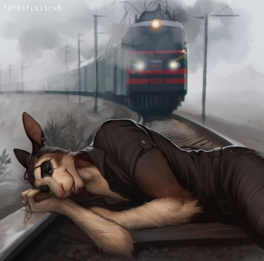 2018 anthro chris_(totesfleisch8) clothed clothing dark_humor depression detailed_background fog fur hi_res humor imminent_death kangaroo looking_at_viewer lying macropod male mammal marsupial multicolored_body multicolored_fur on_side outside pole ring russian_flag signature totesfleisch8 train train_tracks two_tone_body two_tone_fur vehicle