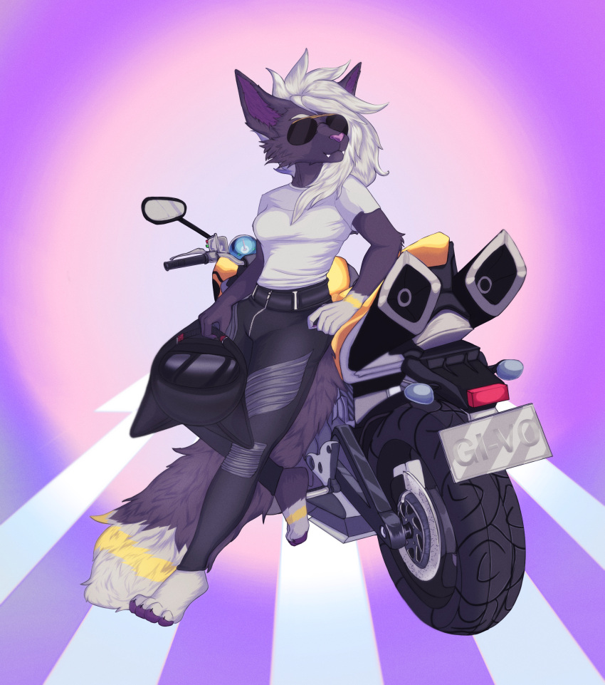 5_fingers anthro armor black_body black_fur canid canine clothed clothing digital_drawing_(artwork) digital_media_(artwork) eyewear female fingers fur givo hair headgear helmet hi_res long_hair long_tail mammal motorcycle simple_background solo sunglasses tusks vehicle white_hair