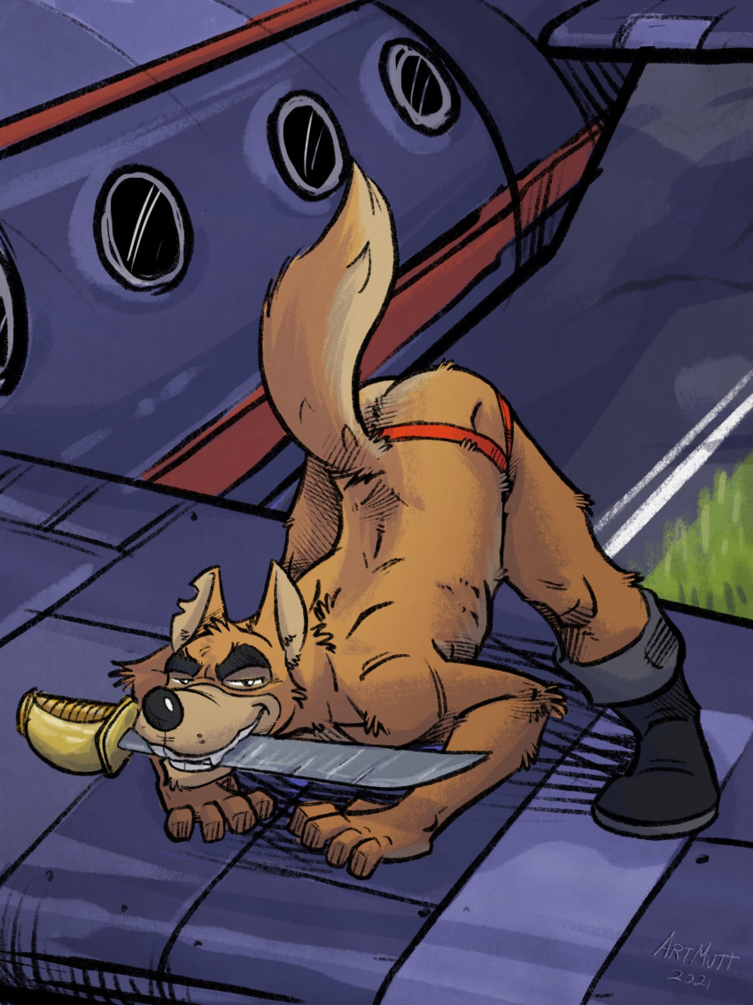 2021 aircraft airplane anthro ass_up bedroom_eyes boots brown_body brown_fur butt canid canine canis clothing disney don_karnage footwear front_view fur grass hi_res jack-o'_pose jockstrap k-9 looking_at_viewer male mammal melee_weapon narrowed_eyes notched_ear plant pose raised_tail seductive sharp_teeth signature smile solo sword sword_in_mouth talespin teeth underwear weapon wolf