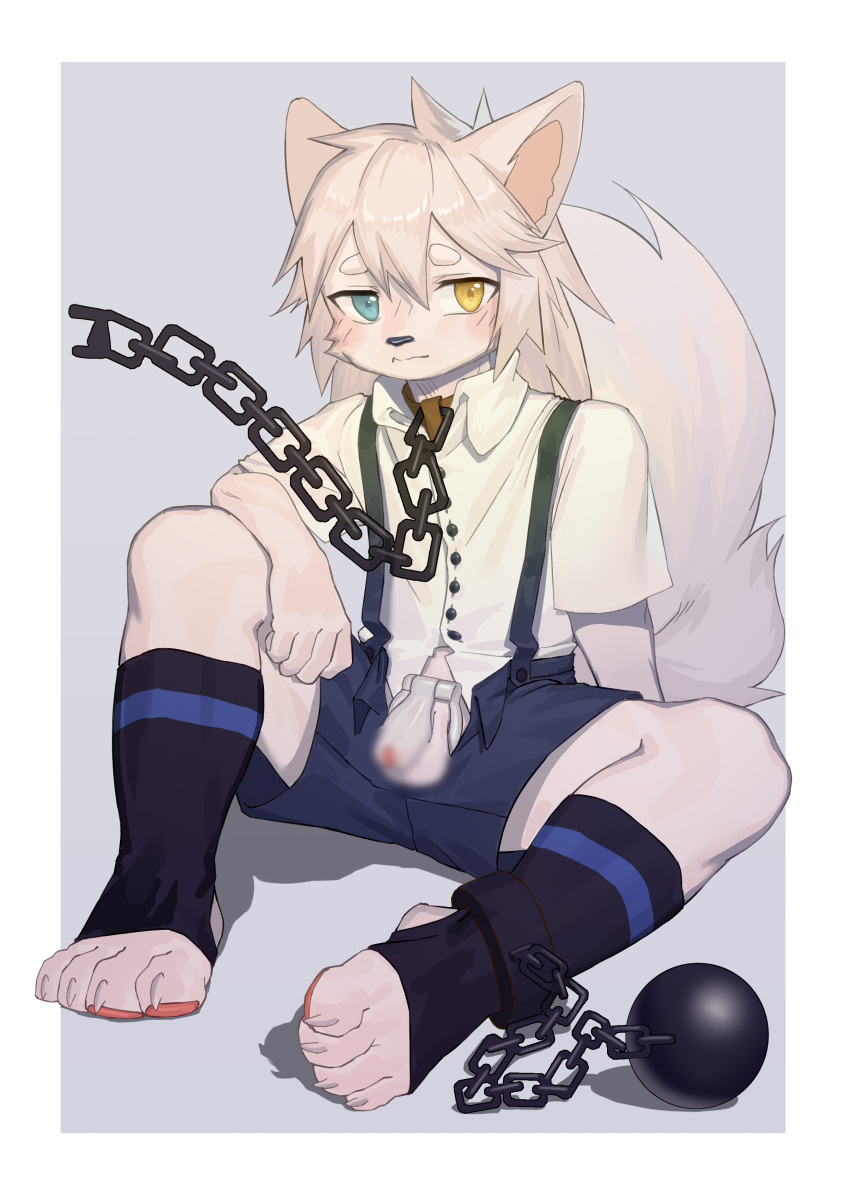 absurd_res ankle_cuffs ball_and_chain balls biped blur_censorship blush bottomwear canid censored chain chain_leash chastity_cage chastity_device clothed clothing collar genitals hair heterochromia hi_res humanoid_genitalia humanoid_penis kemono leash looking_at_viewer male mammal pants pawpads penis shackles shirt simple_background solo submissive submissive_male suspenders topwear toye2004 young