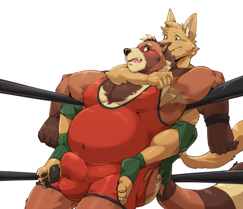 2021 absurd_res anthro balls_outline belly blush brown_body brown_fur bulge butt butt_grab canid canine duo fighting_ring fur genital_outline hand_on_butt hi_res jumperbear kemono male male/male mammal overweight overweight_male penis_outline raccoon_dog tanuki wrestling_singlet