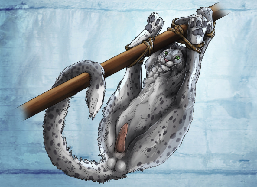 4_toes bdsm bondage bound erection exposed feet feral fully_bound hanging_by_feet hi_res hindpaw igottwococonuts male paws snowy_cheetah solo struggling tied_to_pole toes tribal_carry wrists_tied