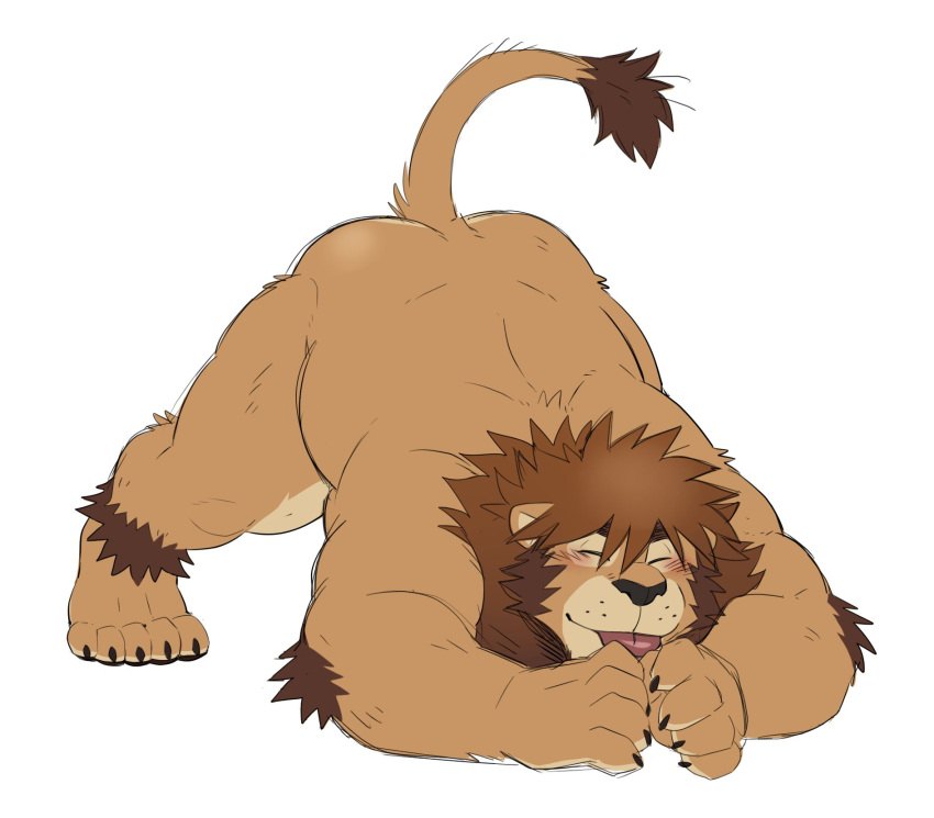 ankle_tuft anthro blep blush blush_lines brown_body brown_fur claws elbow_tufts eyes_closed facial_hair felid fur hi_res jack-o'_pose leg_tuft lion male mammal mane muscular muscular_male nude pantherine pose raised_tail ross_(rossciaco) rossciaco solo tail_tuft thick_thighs tongue tongue_out tuft
