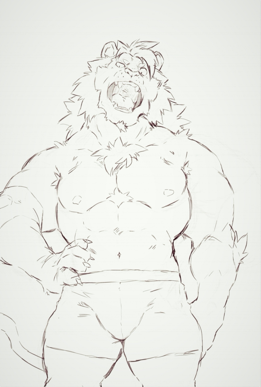 abs absurd_res anthro boxers_(clothing) boxers_only bulge chest_tuft claws clothing elbow_fur facial_hair felid heylaw21 hi_res lion looking_at_viewer male mammal mane muscular muscular_male navel open_mouth pantherine pecs portrait sketch solo three-quarter_portrait tuft underwear