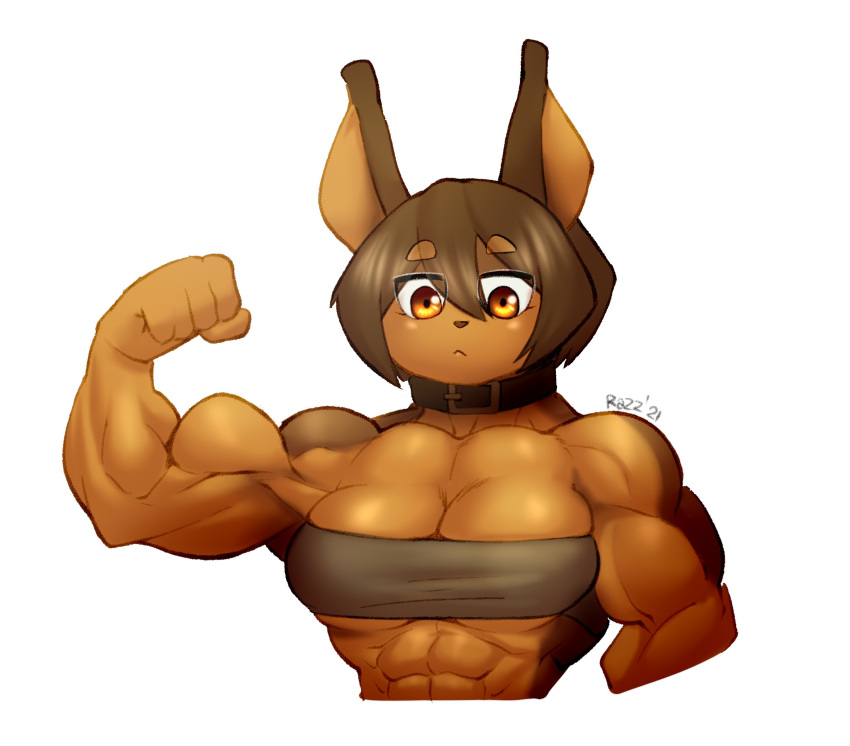 2021 5_fingers abs anthro bandeau belt biceps big_muscles breasts brown_body brown_fur brown_hair canid canine canis choker cleavage clothed clothing collar dobermann dog_knight_rpg domestic_dog female fingers flexing flexing_bicep fur hair hi_res huge_muscles jewelry mammal muscular muscular_female necklace orange_eyes pinscher razzberryboat rory_(ceehaz) short_hair signature simple_background solo topwear white_background