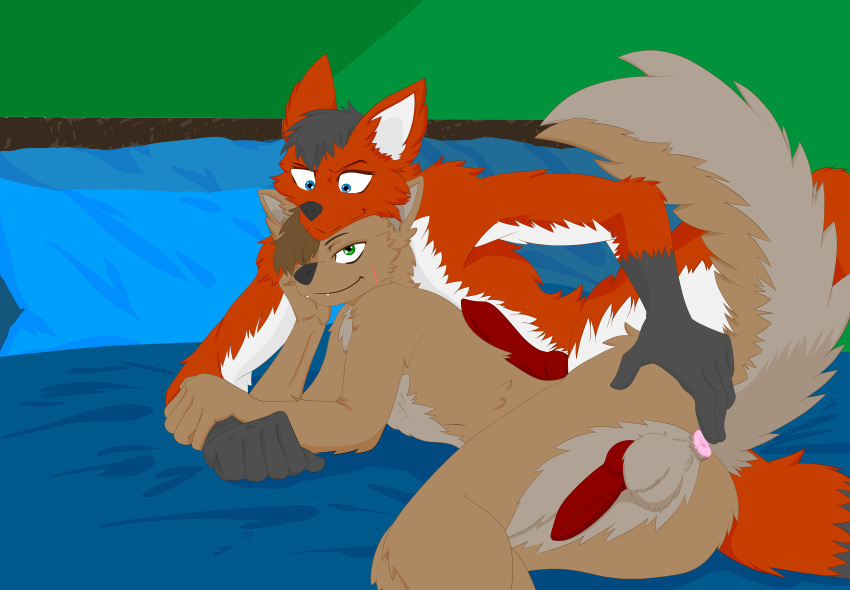 absurd_res anthro bed bedroom bedroom_eyes bedroom_setting blue_eyes canid canine canis coyote ditzz duo erection fangs fox furniture green_eyes groping_butt hi_res lying lying_on_bed male male/male mammal narrowed_eyes on_bed on_side raised_tail red_fox scar seductive shaded simple_background size_difference unfinished