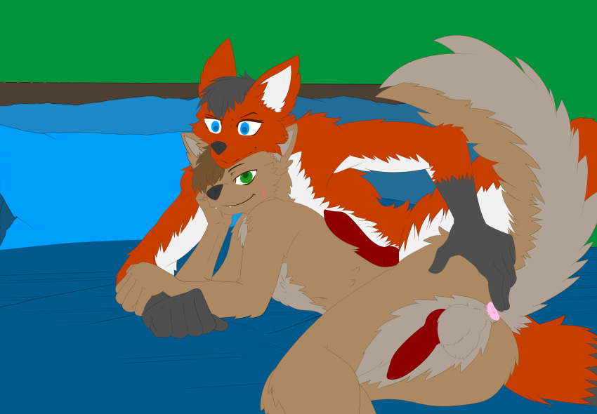absurd_res anatomically_correct anatomically_correct_genitalia anatomically_correct_penis animal_genitalia animal_penis anthro anus bedroom bedroom_eyes bedroom_setting blue_eyes canid canine canine_penis canis colored coyote digital_drawing_(artwork) digital_media_(artwork) ditzz duo fox genitals green_eyes hand_holding hi_res holding_butt lying male male/male mammal narrowed_eyes on_side penis raised_tail red_fox scar seductive spread_anus spreading unfinished