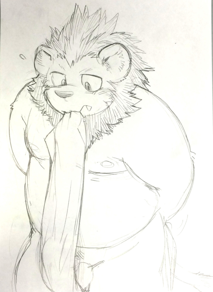 2015 anthro asian_clothing belly blush clothing cute_fangs east_asian_clothing felid fundoshi genitals hi_res japanese_clothing kemono kita_9999 lion male mammal moobs nipples overweight overweight_male pantherine penis solo underwear