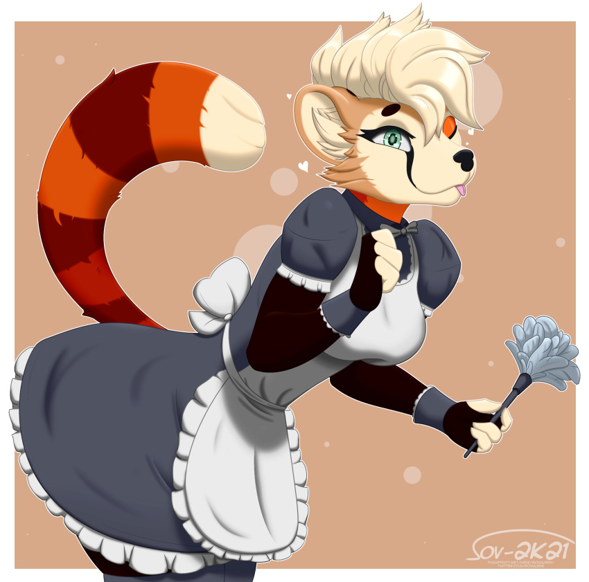 2021 absurd_res ailurid anthro apron blep bow breasts cleaning_tool clothed clothing feather_duster female frilly frilly_clothing fully_clothed fur green_eyes gulonine hair hi_res inner_ear_fluff legwear maid_uniform mammal maple marten multicolored_body multicolored_fur multicolored_tail mustelid musteline one_eye_closed pine_marten raised_tail red_panda solo sovulsen stockings tan_hair tongue tongue_out tuft uniform wink