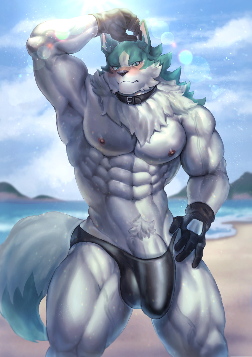 2021 abs absurd_res anthro balls_outline beach brand_new_animal canid canine canis clothing collar genital_outline genitals gloves handwear hi_res male mammal muscular muscular_anthro muscular_male nipples outside penis seaside shirou_ogami solo speedo studio_trigger swimwear wolf yukihoshiak