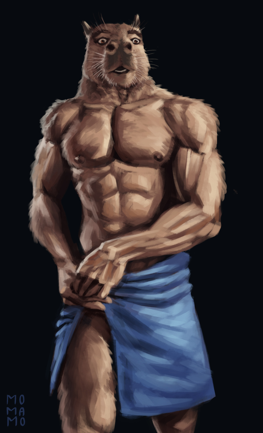 abs absurd_res anthro biceps brown_body brown_fur capybara caviid fur hi_res male mammal momamo muscular muscular_anthro muscular_male nipples nude open_mouth pecs rodent simple_background solo surprise tasteful towel towel_only towel_wrap