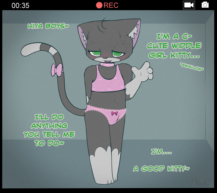 absurd_res anthro biped blush bodily_fluids bottomwear bow_panties bow_tie bra bulge buttons_(milachu92) choker clothed clothing crop_top crossdressing dialogue domestic_cat english_text felid feline felis frilly_panties front_view fur gesture girly green_eyes grey_body grey_fur heart_bra hi_res jewelry lace_panties looking_at_viewer male mammal midriff milachu92 navel necklace panties panties_bulge partially_clothed pattern_bra pattern_clothing pattern_topwear pattern_underwear penis_in_panties pink_bra pink_clothing pink_panties pink_underwear recording ribbons shirt shy simple_background solo standing sweat sweatdrop tail_bow tail_ribbon talking_to_viewer text topwear training_bra underwear underwear_only waving