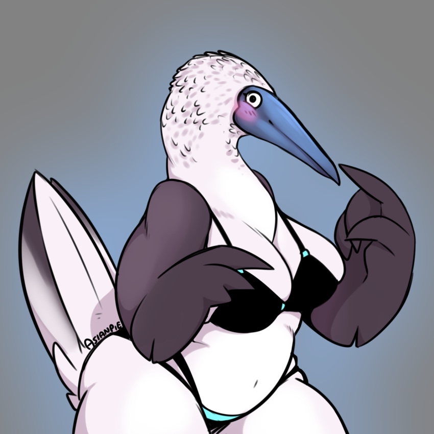 1:1 2021 4_fingers anthro asianpie avian beak belly big_breasts bikini biped bird black_eyes blue-footed_booby blush booby_(bird) bottomwear breasts chubby_anthro chubby_female cleavage clothed clothing curvy_figure digital_media_(artwork) feather_hands feathered_wings feathers female fingers front_view fully_clothed gradient_background grey_background grey_beak grey_body grey_feathers hi_res looking_at_viewer midriff multicolored_body multicolored_feathers navel non-mammal_breasts shaded signature simple_background skimpy slightly_chubby solo sulid swimwear tail_feathers thick_thighs topwear two_tone_body two_tone_feathers voluptuous white_body white_feathers wide_hips wings