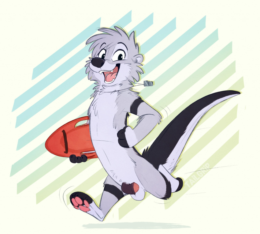 anthro balls biped conditional_dnp foreskin fur genitals grey_body grey_fur happy lifeguard looking_at_viewer lutrine male mammal mustelid pawpads paws penis running simple_background smile smiling_at_viewer solo tailgrip whistle
