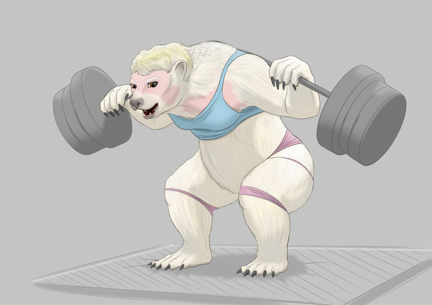 2021 after_transformation anthro blonde_hair clothing exercise female fur grey_background hair krazyivan mammal naturally_censored open_mouth polar_bear shirt simple_background smile solo tank_top topwear torn_clothing transformation ursid ursine weightlifting white_body white_fur workout