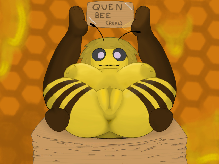 :3 antennae_(anatomy) anthro anus areola arthropod bee big_breasts breasts butt cardboard_box digital_media_(artwork) female flexible genitals hair hi_res hymenopteran insect legs_behind_head legs_up looking_at_viewer lying mammal nipples nude on_back presenting pussy sign simple_background smile solo spread_butt spread_legs spreading text unknown_artist