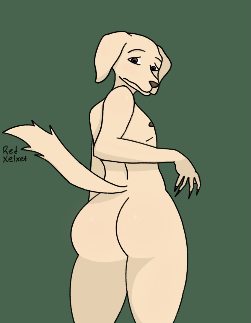 anthro beastars big_butt butt canid canine canis domestic_dog frown fur hi_res jack_(beastars) looking_at_viewer looking_back male mammal nude redxelxet simple_background solo tan_body tan_fur