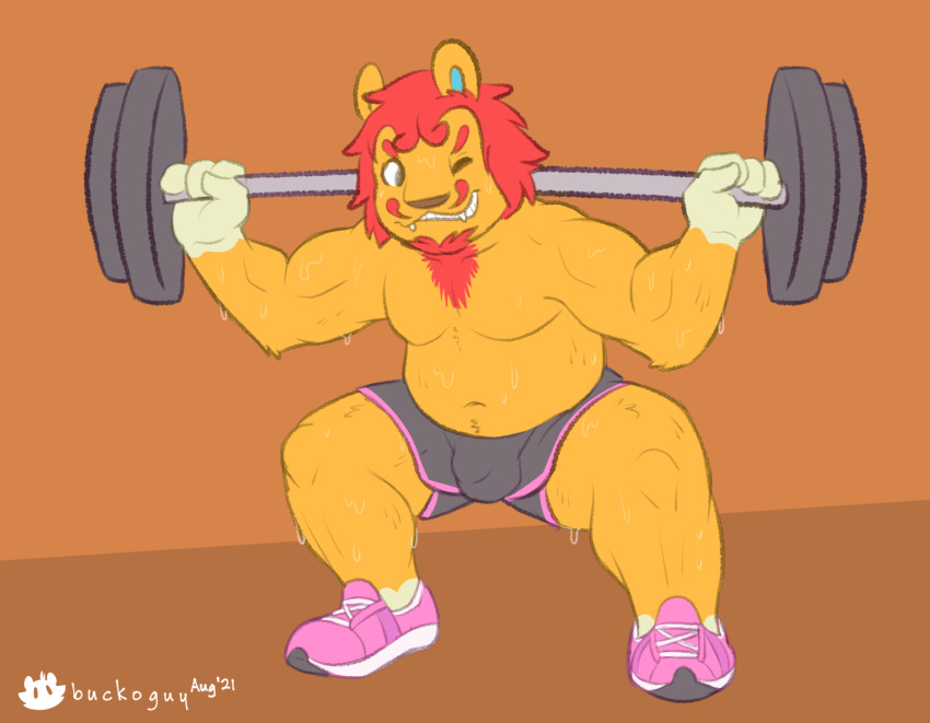 animal_crossing bodily_fluids bottomwear buckoguy bulge clothing exercise facial_hair felid gym_bottomwear gym_clothing gym_shorts hi_res lion male mammal nintendo pantherine rory_(animal_crossing) shorts solo sweat video_games weightlifting workout