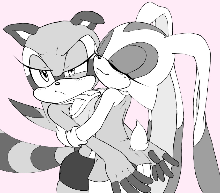 annoyed anthro blush bottomwear breast_squish breasts breasts_press clothing cream_the_rabbit discontent duo eyes_closed female female/female hb_lint hi_res hug interspecies marine_the_raccoon miniskirt pink_background sega simple_background skirt sonic_the_hedgehog_(series) squish tight_clothing