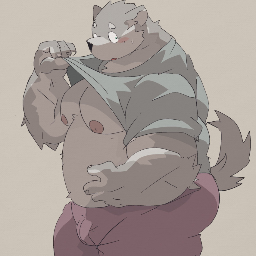 1:1 2021 anthro belly black_nose blush bottomwear bulge canid canine canis clothing domestic_dog dumdum hi_res humanoid_hands kemono male mammal moobs nipples overweight overweight_male pants simple_background solo