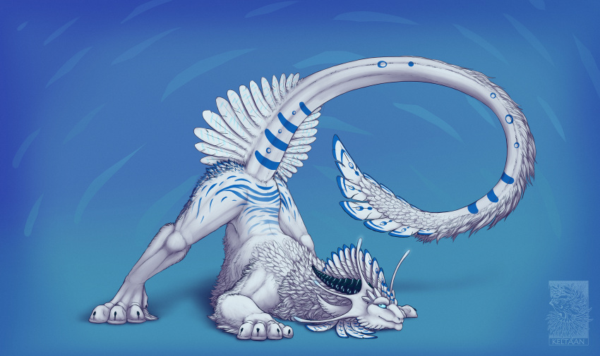 2021 4_toes ambiguous_gender blue_eyes digital_media_(artwork) dragon feathered_dragon feathered_wings feathers feet feral fur furred_dragon hi_res horn jack-o'_pose keltaan paws pose smile solo toes wingless_dragon wings