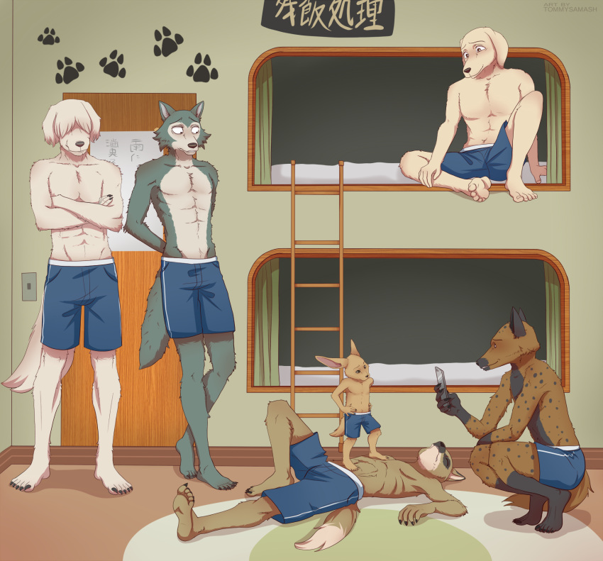 2021 5_fingers 5_toes abs anthro athletic athletic_anthro athletic_male barefoot beastars bed bird_dog blue_bottomwear blue_clothing blue_shorts bottomwear brown_body brown_fur canid canine canis cellphone claws clothed clothing collot_(beastars) coyote crouching defeated digital_media_(artwork) domestic_dog dorm durham_(beastars) eyes_closed feet fennec finger_claws fingers foot_on_chest foot_on_stomach fox fur furniture grey_body grey_fur group hair_over_eyes hand_on_hip hand_on_own_hip herding_dog hi_res humanoid_feet humanoid_hands hunting_dog hyaenid jack_(beastars) labrador ladder legoshi_(beastars) looking_at_another lying male mammal miguno_(beastars) multicolored_body multicolored_fur old_english_sheepdog on_back on_bed on_ground pastoral_dog pecs phone plantigrade retriever sheepdog shorts shorts_only signature sitting sitting_on_bed smartphone smile soles spots spotted_body spotted_fur spotted_hyena standing story story_in_description taking_picture tan_body tan_fur toe_claws toes tommysamash topless topless_male two_tone_body two_tone_fur unconscious victory voss_(beastars) white_body white_fur wolf worried