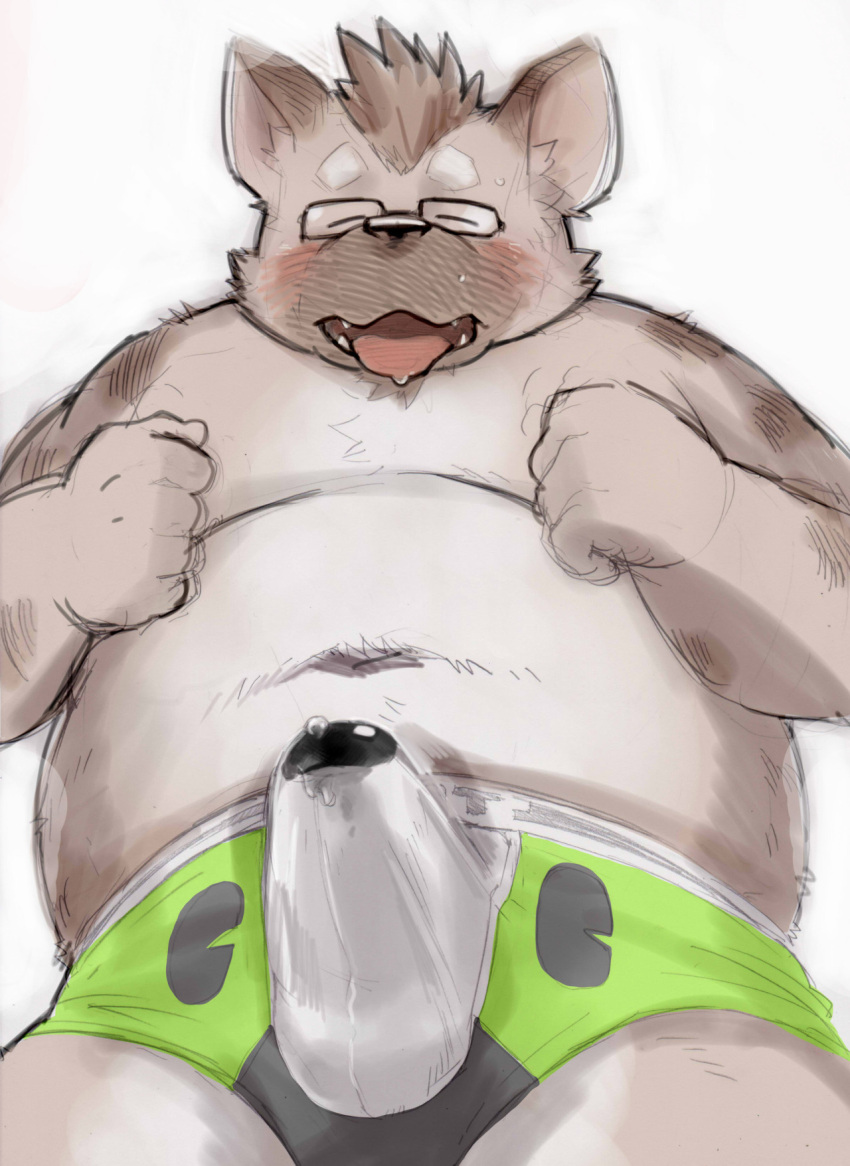2016 anthro belly blush brown_body brown_fur bulge clothed clothing erection erection_under_clothing eyewear fur genital_outline glasses hi_res humanoid_hands hyaenid kemono kita_9999 male mammal navel overweight overweight_male penis_outline simple_background solo tongue tongue_out underwear white_background