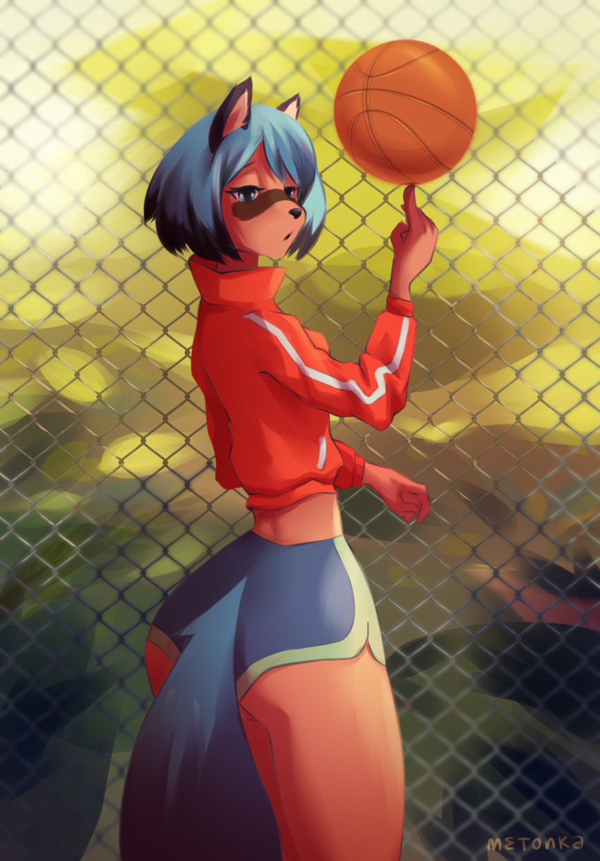 anthro ball basketball brand_new_animal butt canid canine female hi_res mammal metonka michiru_kagemori procyonid raccoon raccoon_dog solo studio_trigger tanuki