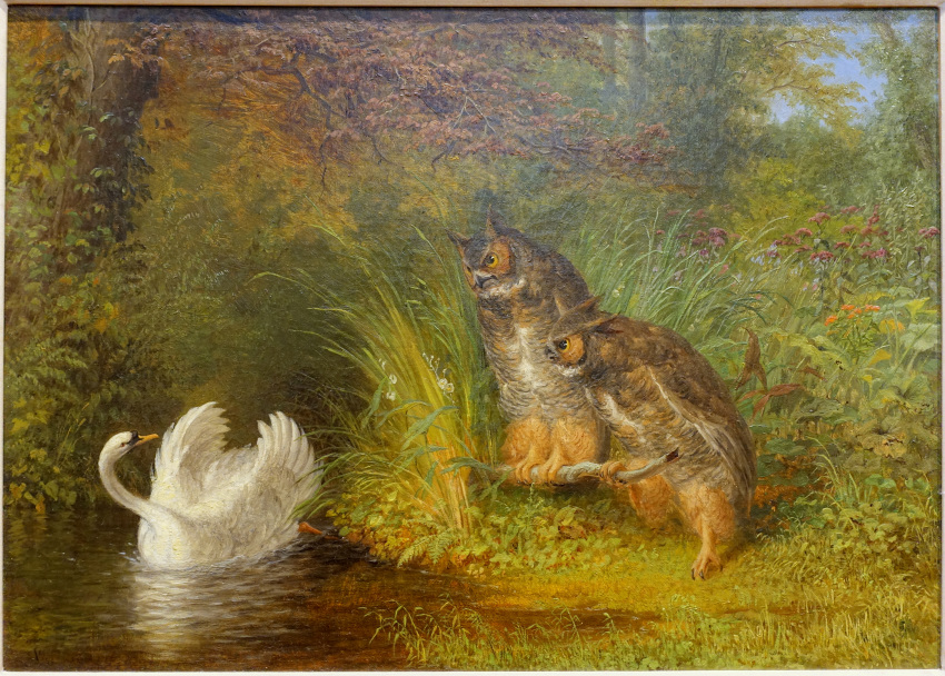 1865 19th_century absurd_res ambiguous_gender anatid ancient_furry_art anseriform anserinae avian beak biped bird brown_body brown_feathers detailed detailed_background english_text feathered_wings feathers feral group hi_res no_sclera nude oil_painting_(artwork) outside owl painting_(artwork) plant proper_art public_domain swan swimming text traditional_media_(artwork) tree water white_body white_feathers william_holbrook_beard wings yellow_beak yellow_eyes