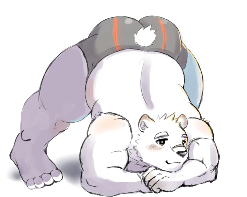 2021 5:4 anthro black_nose butt clothing fur humanoid_hands jack-o'_pose jugo_kumagai kemono male mammal overweight overweight_male polar_bear pose shimo_kawa simple_background solo underwear ursid ursine virtual_youtuber white_background white_body white_fur