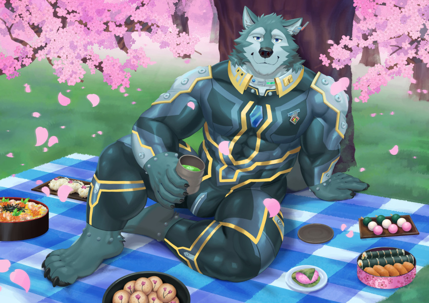 abs absurd_res anthro bodysuit breke bulge canid canine canis cherry_blossom clothing hi_res lifewonders looking_at_viewer male mammal muscular muscular_anthro muscular_male oreowuff pecs picnic_blanket plant skinsuit solo tight_clothing tokyo_afterschool_summoners video_games wolf