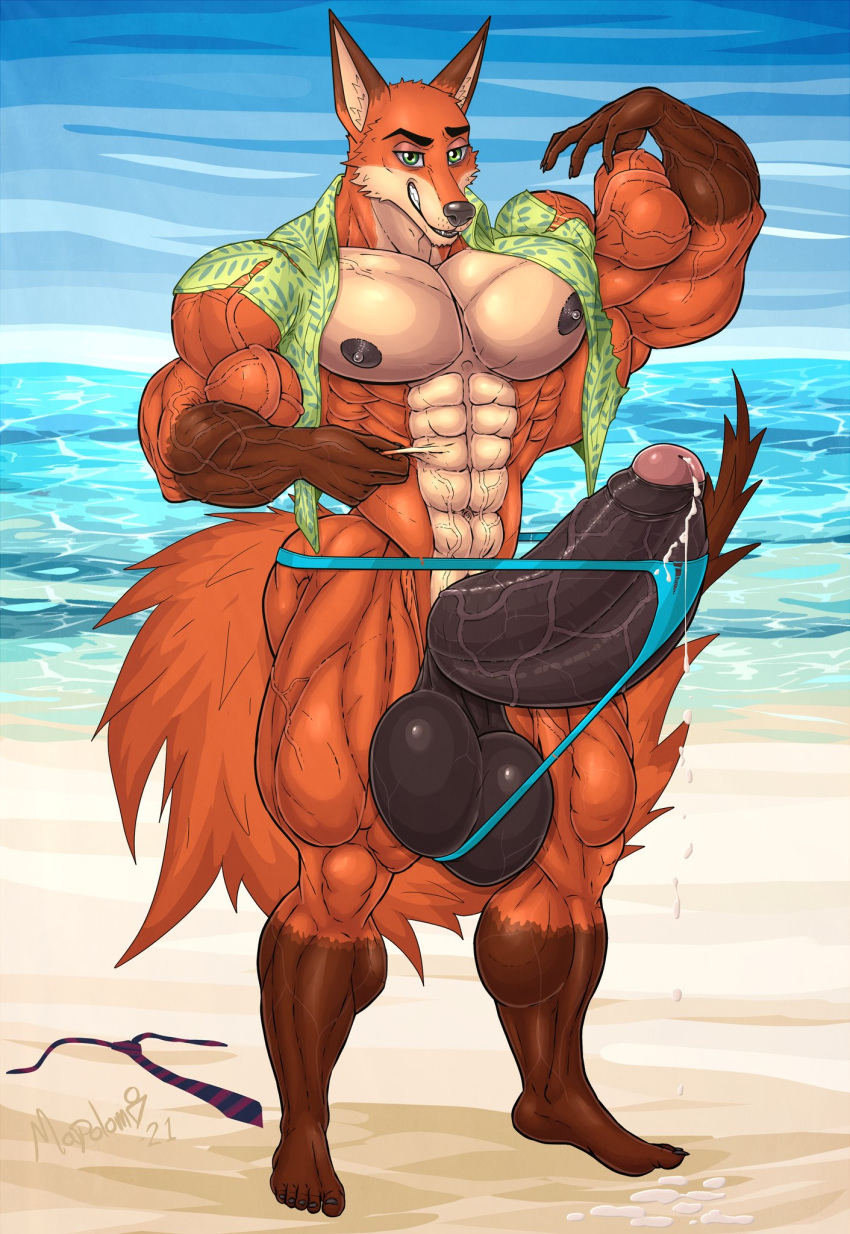 anthro balls beach big_balls big_muscles big_penis canid canine clothed clothing disney erection fox genitals hi_res huge_muscles huge_penis humanoid_genitalia humanoid_penis hyper hyper_muscles male mammal mrmapolomi muscular muscular_anthro muscular_male nick_wilde nipples orange_body partially_clothed penis seaside solo zootopia