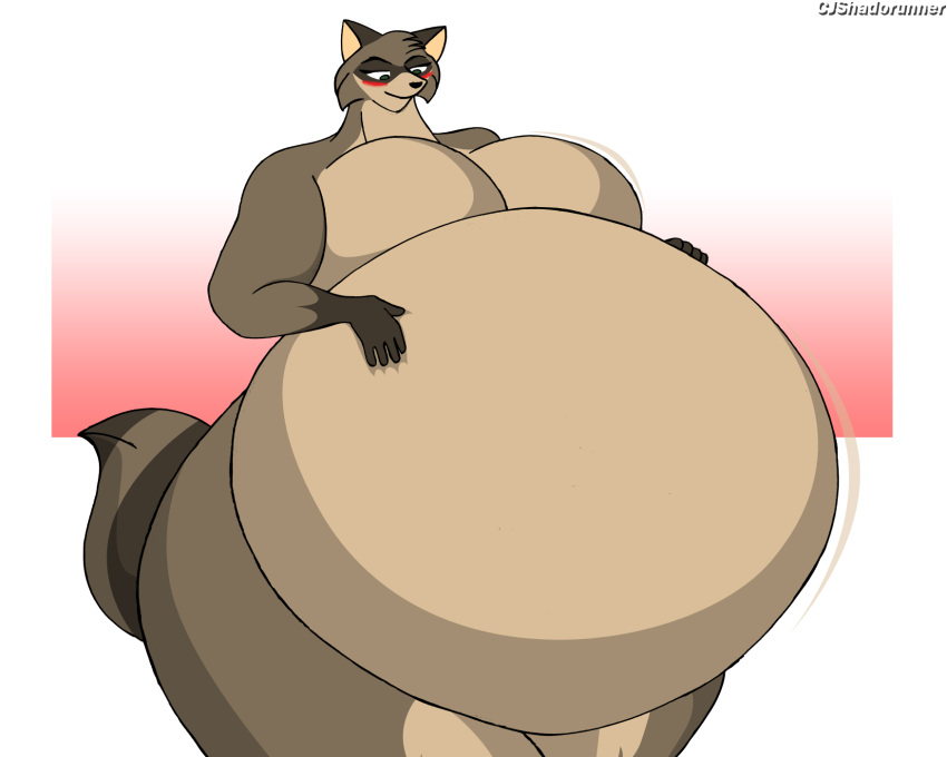 5:4 anthro blush breasts cjshadorunner featureless_breasts female hi_res inflation mammal procyonid raccoon solo