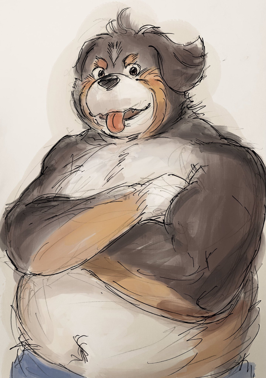 2021 anthro aotadobukitch belly bernese_mountain_dog black_body black_fur black_nose blush brown_body brown_fur canid canine canis domestic_dog fur hi_res kemono male mammal molosser mountain_dog navel overweight overweight_male simple_background sketch solo swiss_mountain_dog tongue tongue_out white_body white_fur