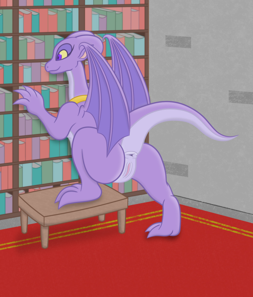 anus book bookshelf butt detailed_background dragon female feral furniture genitals hi_res inside membrane_(anatomy) membranous_wings purple_body pussy raised_tail reptile reversal_of_the_heart scalie sharkinwaves solo table western_dragon wings