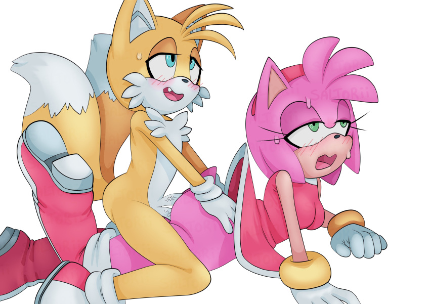 2_penises absurd_res amy_rose anthro blue_eyes blush canid canine double_penetration duo eulipotyphlan female fox fur genitals green_eyes hand_on_butt hedgehog hi_res male male/female mammal miles_prower multi_genitalia multi_penis penetration penis pink_body pink_fur saltorii saltwatertoffee sega sex signature simple_background sonic_the_hedgehog_(series) yellow_body yellow_fur