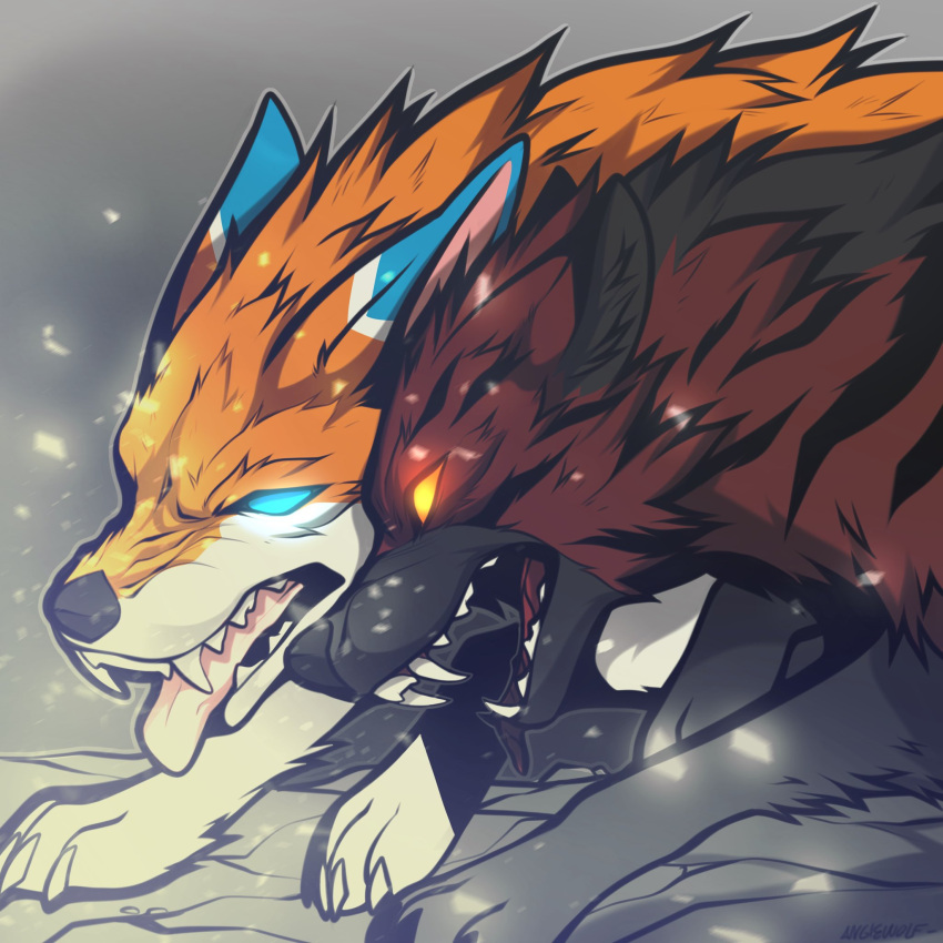 1:1 2021 ame_(angiewolf) angiewolf angry black_body black_fur blue_eyes canid canine canis digital_media_(artwork) duo feral fur glowing glowing_eyes hi_res mammal open_mouth orange_body orange_fur red_body red_fur shaded sharp_teeth teeth tongue tongue_out white_body white_fur wolf