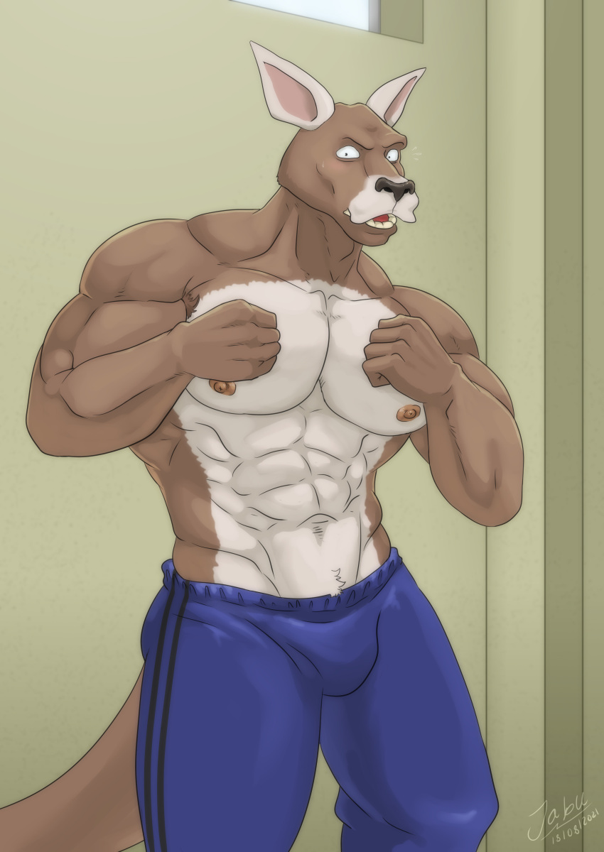 abs absurd_res anthro armpit_hair beastars biceps blue_bottomwear blue_clothing blue_pants body_hair bottomwear brown_body brown_nipples brown_nose clothed clothing hi_res jabuhusky kangaroo looking_at_viewer macropod male mammal marsupial muscular muscular_anthro muscular_male nipples pants pecs shirtless solo sweatpants topless v-cut