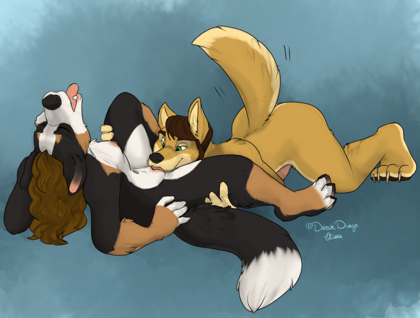2021 4_toes 5_fingers anthro ass_up bernese_mountain_dog bernie_sennenhund black_body black_fur black_nose breasts brown_hair butt canid canine canis claws cunnilingus dereck_dingo digital_media_(artwork) dingo domestic_dog duo erection eyes_closed fangs feet female fingers fur genitals hair hand_on_leg hand_on_thigh head_back hindpaw humanoid_hands licking looking_pleasured lying male male/female mammal molosser mountain_dog multicolored_body multicolored_fur nipples nude oli_snowpaw on_back oral paws penis raised_tail sex signature swiss_mountain_dog tailwag tan_body tan_fur toe_claws toes tongue tongue_out two_tone_body two_tone_fur vaginal white_body white_fur