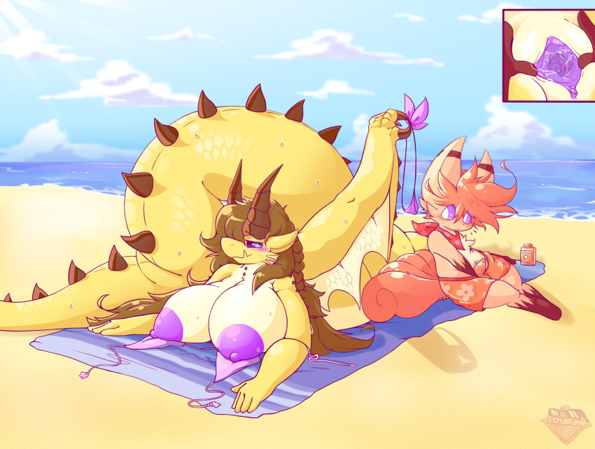 anthro anthro_on_feral beach bestiality big_breasts big_tail bikini bodily_fluids breasts capcom citruscave clothed clothed_feral clothing dragon duo elder_dragon erection erection_under_clothing female feral fiamme_(citruscave) floral_print genitals hair hi_res humanoid_genitalia humanoid_pussy male male/female micro_bikini monster_hunter nintendo outside pok&eacute;mon pok&eacute;mon_(species) presenting presenting_pussy pussy raised_leg sand seaside seductive shagaru_magala spread_pussy spreading sweat swimming_trunks swimwear towel undressing video_games vulpix